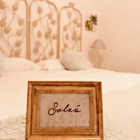 Casa Buleria 招待所 3*